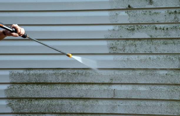 Best Roof Pressure Washing  in Cicero, IN