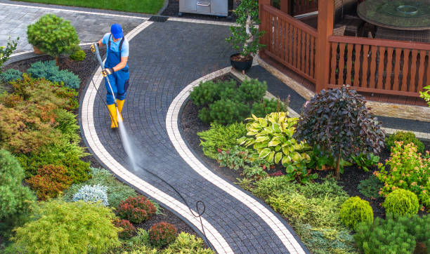 Best House Pressure Washing  in Cicero, IN