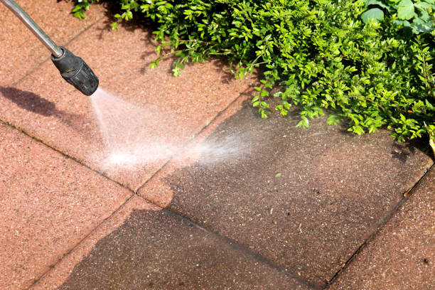 Best Residential Pressure Washing Services  in Cicero, IN